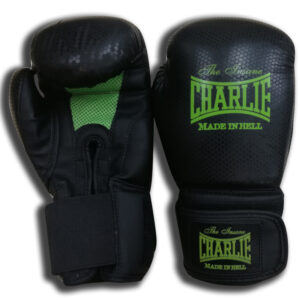Inicio 4 Guantes boxeo MK-2